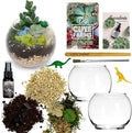 Cute Farms Glass Terrarium Kit | Just Add Your Own Plants (Two Glass Bowls)