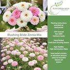 Blushing Bride Mix Zinnia Seeds (Zinnia elegans) – 200+ Heirloom Non-GMO Seeds by Isla’s Garden Seeds, Soft White & Pink Blooms, Elegant Cut Flowers, Long Blooming, Garden Gift Idea
