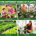 16pcs Upgraded Plant Stem Support, Transparent Plant Support for Indoor Plants, 4 Sizes Climbing Houseplant Stem Holders, Reusable Plant Stabilizer, Indoor Plants Accessories