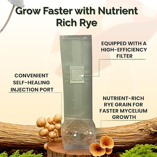 MycoHaus Mushroom Growing Kit with Injection Ports | Sterilized Rye Grain | Magic Indoor Grow Bags for Mushrooms | Home Cultivation Supplies | Without Spores | 1 Pound (6 Pack)