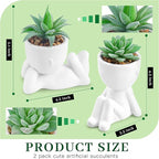 Der Rose Set of 2 Fake Plants Artificial Succulent Plants for Office Desk Accessories Bathroom Home Room Aesthetic Decor Indoor