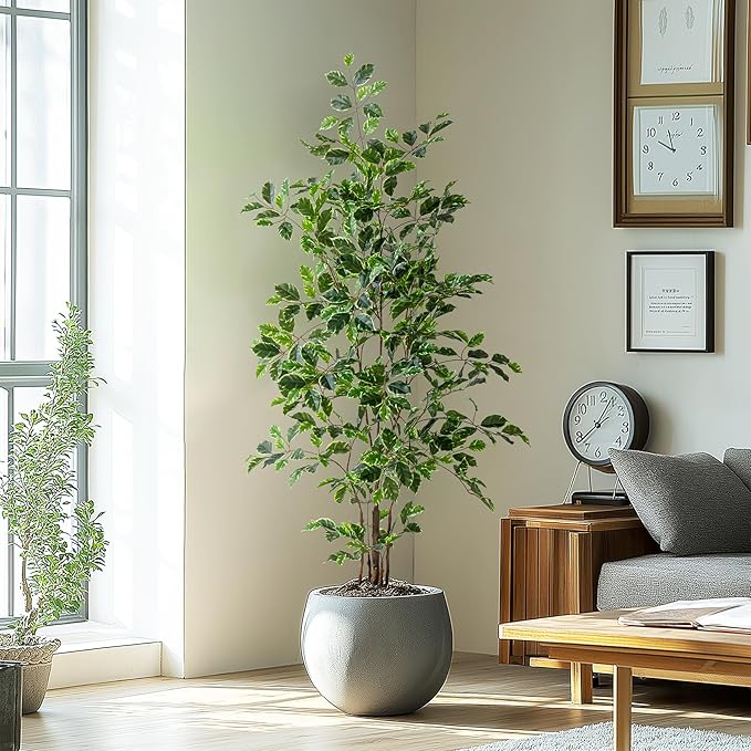 Bailikang Artificial Ficus Tree Indoor 5ft, Large Potted Faux Tree with Realistic Silk Leaves & Trunk for Home Office, Living Room Corner Decor