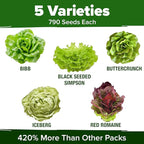 HOME GROWN Lettuce Seeds 5 Variety Mix 3950+ Bulk Pack Heirloom Non-GMO, High Germination, Romaine, Bibb, Buttercrunch, Iceberg, Black Seeded Simpson, Indoor Outdoor Hydroponic Garden (Lactuca sativa)