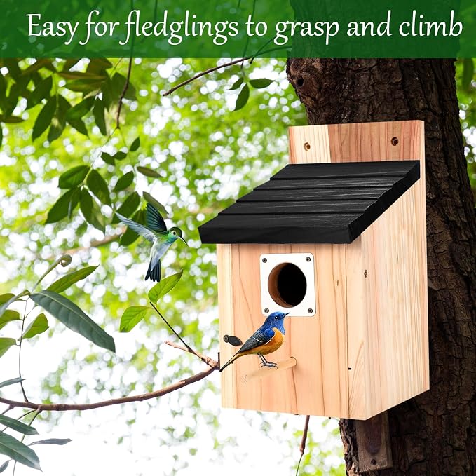 4-Pack Black Wooden Bird Houses for Outdoors with Predator Guard, Bluebird Houses for Outside – Ideal for Bluebirds & Other Backyard Birds, Black