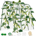 65"×48" Cucumber Trellis for Raised Bed, U-Shape Garden Trellis for Climbing Plants Outdoor, Metal Arch Vegetables Trellis, Detachable Cucumber Plant Support for Tomato,Squash
