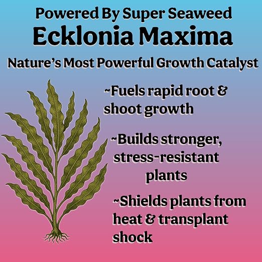 Organic Liquid Indoor Plant Food, Houseplant, Tropical & All-Purpose Indoor Plant Fertilizer, Organic Liquid Fertilizer 5-5-5 with Sea Kelp (32oz)