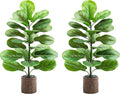 2 Pack Artificial Fiddle Leaf Fig Tree 30in, Faux Fig Trees Floor Plant in Pot Fake Ficus Lyrata Plant, Table Top Plant with Fiddle Leaves for Indoor Outdoor Home, Office, Living Room, Bathroom Decor