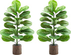2 Pack Artificial Fiddle Leaf Fig Tree 30in, Faux Fig Trees Floor Plant in Pot Fake Ficus Lyrata Plant, Table Top Plant with Fiddle Leaves for Indoor Outdoor Home, Office, Living Room, Bathroom Decor