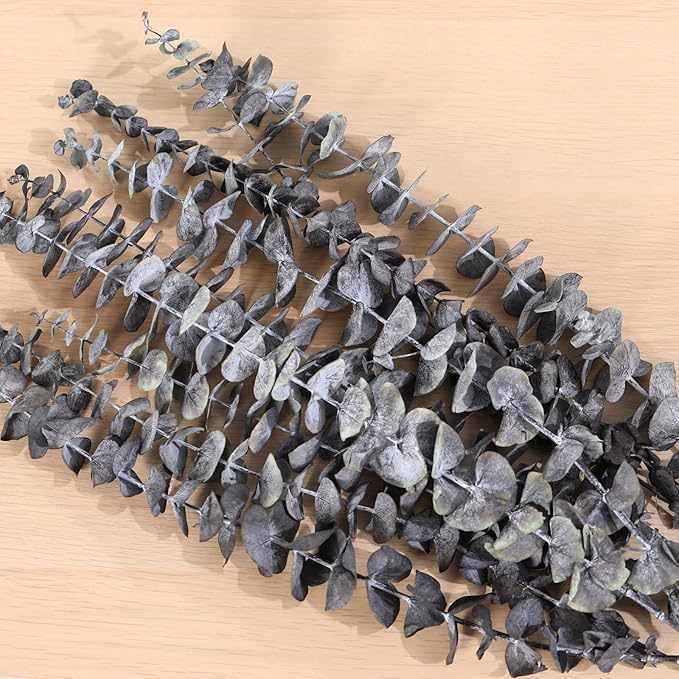 Tavkite 16 Pcs Dried Eucalyptus Stems, 17'' Natural Eucalyptus Leaves Branches Hanging for Shower, Preserved Real Black Plant Live Greenery for Home SPA Wall Bathroom Wedding Party Vase Decor