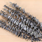 Tavkite 16 Pcs Dried Eucalyptus Stems, 17'' Natural Eucalyptus Leaves Branches Hanging for Shower, Preserved Real Black Plant Live Greenery for Home SPA Wall Bathroom Wedding Party Vase Decor