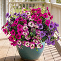 17 Inch Artificial Faux Pansy Flowers for Outdoor,Fake Pansies Flowers with Eucalyptus Leaves Fake Plants Greenery Boxwood Porch Patio Decor 6 Bundles(Light Purple,Rose White,Rose Red)