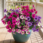 17 Inch Artificial Faux Pansy Flowers for Outdoor,Fake Pansies Flowers with Eucalyptus Leaves Fake Plants Greenery Boxwood Porch Patio Decor 6 Bundles(Light Purple,Rose White,Rose Red)