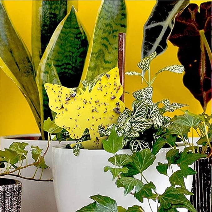 LFSYS 100 Pcs Yellow Sticky Traps for Gnat, Fruit Fly, White Fly, Aphid, Leaf Miner, Indoor Safe for Plants