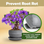 HOME GROWN Bonsai Tree Kit – Grow 4 Bonsai Types Indoors with Complete Starter Kit Including Pots Peat Pellets and Bonus Grow Guide – Unique Gardening Gift for Men Women Beginners