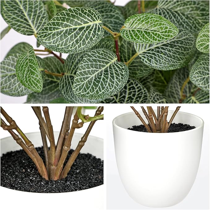 Oairse Artificial Fittonia Plants in White Pot - 15.7" Fake Nerve Plant Indoor Silk Faux Fittonia Plants Artificial Greenery Potted Small Faux Potted Plant for Office Desk Home Decor Shelf Bathroom