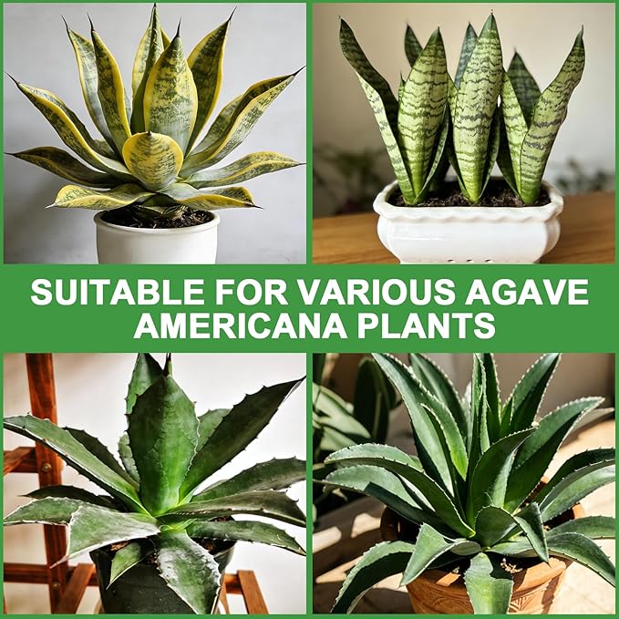 Organic Snake Plant Potting Soil 4qt- Well-Draining Nutrient-Rich Mix for Healthy Roots & Faster Growth, Natural Soil for Sansevieria Plants