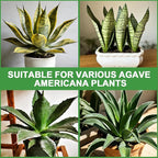 Organic Snake Plant Potting Soil 2qt- Well-Draining Nutrient-Rich Mix for Healthy Roots & Faster Growth, Natural Soil for Sansevieria Plants