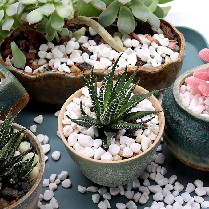 White Rocks. Decorative Pebbles. 1/5 Inch 10 lbs for Garden, Landscaping, Indoor, Vase Fillers, Crafting, Succulents, Pots, Plants (Mini, Tumbled)