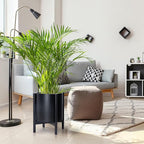 D'vine Dev Planter Pot with Stand - 14 Inch Plastic Cylinder Flower Pot with Wood Planter Holder for Indoor, Matte Black Pot + Ebony Stand, 55-C-T-2