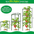 6 Pack Square Tomato Cages, 49.2" Large Upgraded Heavy Duty Steel Tomato Trellis Stakes, Garden Plant Support Cages Kit for Raised Garden Bed, Cucumber Trellis Vegetables and Climbing Plants