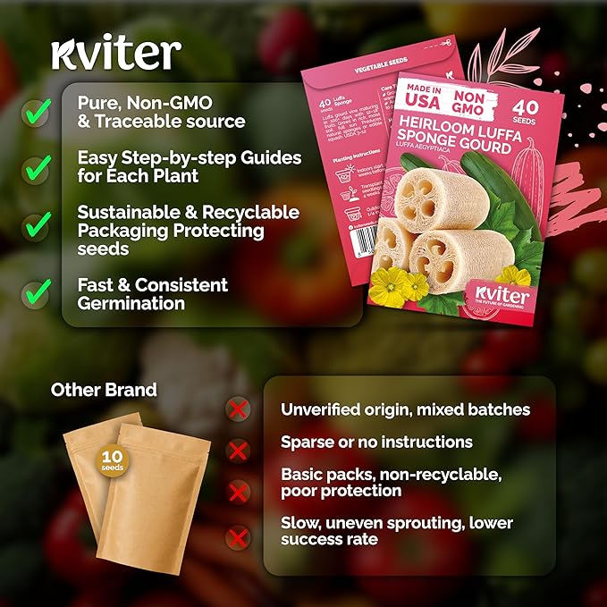 KVITER 40 Luffa Seeds (Luffa Aegyptiaca) – Loofa, Loofah Sponge Gourd Heirloom Seeds, Ideal Non GMO & Organic Natural Sponge – Loofah Seed for Planting from USA to Grow in Your Home Vegetable Garden