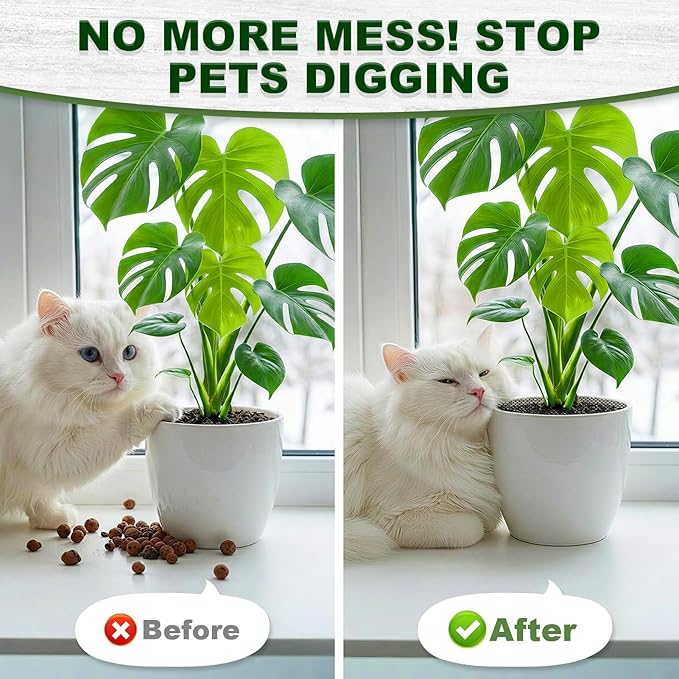 PEDPOPO 6pcs Plant Pot Grids, Thickened Plastic Plant Pot Cover Cat Digging Stopper with Stakes, 11.8 in Plant Protector from Cats Indoor, Potted Guard Cover Easy to Cut Anti Digging for Dogs