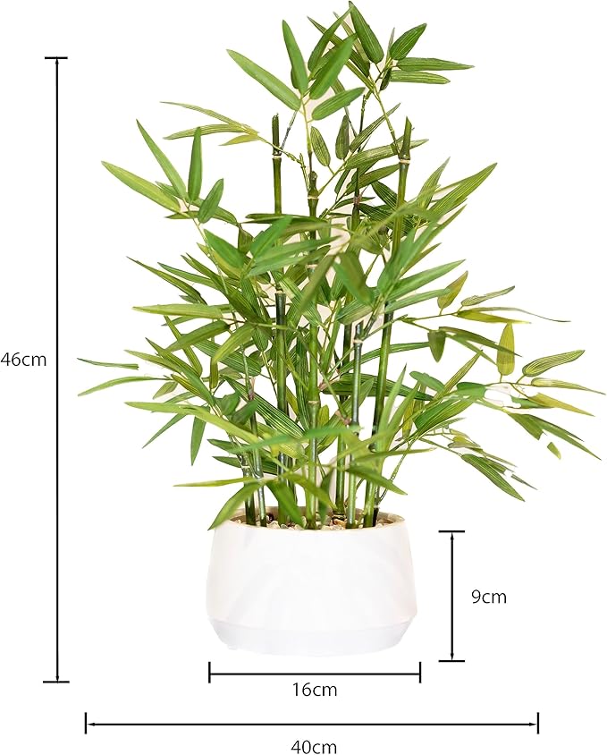 365 Blooming Decor 18 inch Tall White Potted Artificial Bamboo Plant- Luxury Artificial Bamboo Tree in White Pot for Home, Office, Kitchen, Counter Top, Indoor Decor, Money Tree, Lucky Tree.