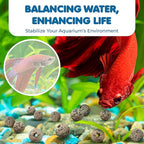 SunGrow Betta Lava Beads, Lightweight Substrate for Fish Tanks, Decorative Gravel for Aquariums, Brown Volcanic Lava Rocks for Filtration, 0.2", 50 Pcs per Pack