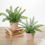 2 Pack Artificial Fern Potted Plant, Faux Fern Plant Small Fake Plants in Pot for Home Office Farmhouse Living Room Bathroom Kitchen Tabletop Desk Shelf Decoration