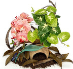 Crested Gecko Terrarium Decor Kit - 5PCS Rainforest Tank Accessories with Coconut Hide, Climbing Vines, Leaf Platform & Artificial Plants - Habitat Enrichment for Humidity & Hiding(Pink)