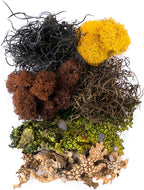 SuperMoss (23302) Moss Mix – Premium Decorative Moss for Crafts, Terrariums, Wedding & Table Décor, 80.75 cu in, Vermont