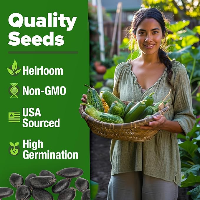 HOME GROWN Luffa Seeds 80+ Heirloom Non-GMO Loofah Gourd Seeds for Planting, High Germination, Natural Bath Sponges, Edible Vining Vegetable Garden, Harvest Young Gourd (Luffa aegyptiaca)