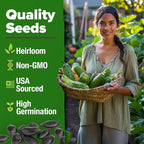 HOME GROWN Luffa Seeds 80+ Heirloom Non-GMO Loofah Gourd Seeds for Planting, High Germination, Natural Bath Sponges, Edible Vining Vegetable Garden, Harvest Young Gourd (Luffa aegyptiaca)