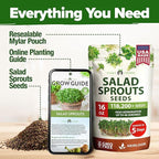 HOME GROWN Premium Sprouting Seeds Mix - Microgreens 118,200 Seeds for Indoor Growing - Non-GMO Broccoli, Alfalfa, Radish, Clover Sprouts Seed - 16oz Resealable Pack for Healthy Salad & Juicing