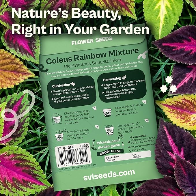 SVI 1200 Rainbow Coleus Seeds (Plectranthus Scutellarioides) - Painted Nettle Garden Seed Packets, Colorful Foliage Mix, Shade Tolerant - Annual Flower Seeds for Indoor & Outdoor Garden and Borders