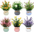 Yoratee 6PCS Artificial Flowers Pot Small Fake Plants with Mini Potted Plants for Home Office Tabletop Centerpiece Decoration