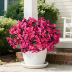 INSPRING Faux Bougainvillea Artificial Flowers for Outdoors, 4 Bundles Fake Bougainvillea Realistic Silk Flowers for Outside UV Resistant Outdoor Plants for Porch Patio Window Box Garden Home Decor