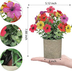 2 Pack Small Fake Plants Potted Artificial Plants Artificial Flowers Potted Faux Flower Daisy with Eucalyptus Leaves for Home Decor Office Room Farmhouse Indoor Table Bathroom Decor（Colorful）