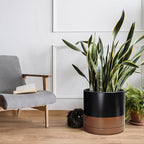 D'vine Dev 14 Inch Ceramic Planter Pot with Drainage Hole and Saucer, Indoor Cylinder Round Planter Pot, Black/Speckled Tan, 94-O-G-7