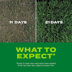 Scotts Turf Builder Rapid Grass Tall Fescue Mix - Combination Grass Seed and Fertilizer for Lawns, Lawn Seed That Grows in Just Weeks, 16 lbs.