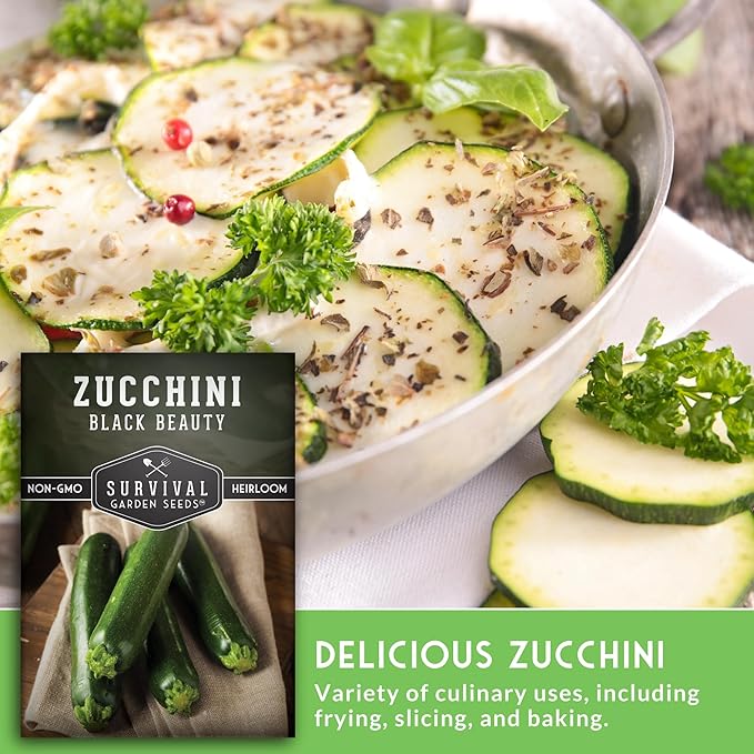 Survival Garden Seeds - Black Beauty Zucchini Seed for Planting - 5 Packs with Instructions to Plant & Grow Dark Green Summer Squash Plants in Your Home Vegetable Garden - Non-GMO Heirloom Variety