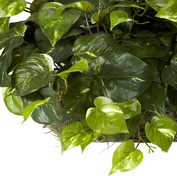 Nearly Natural 15in. Pothos Ledge Plant (Set on Foam) Silk Plant,Green