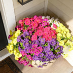 Fanfantoey 16 pcs Artificial Flowers for Outdoors, UV Resistant Fake Flowers Outside Decoration, Realistic Faux Silk Morning Glory Fake Plants for Planter Outside Decor (20, 5 Mixed)