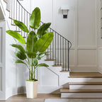 Bird of Paradise Artificial Plant, 6FT Faux Plants Indoor Banana Leaf Tree with 10 Leaves, Large Fake Tropical Potted Indoor Silk Floor Plant with White Tall Planter for House,Office,Room,Home Decor