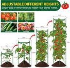 6 Pack Large Tomato Cage for Garden Up to 49" H X 16" W Metal Plant Support Stakes with Clips Triangle Pea Cages Cucumber Trellis for Vegetables Pots Vines Flowers Climbing Plants