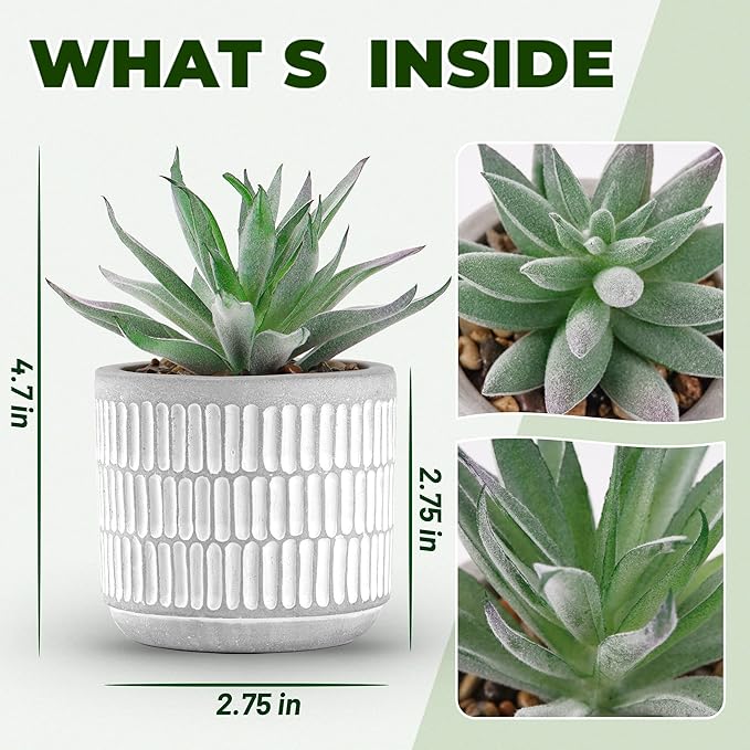 Der Rose Set of 2 Succulents Plants Artificial Fake Cactus Plants for Living Room Bathroom Bedroom Aesthetic Home Shelf Decor