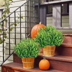 Ouddy Decor 8 Bundles Artificial Greenery Stems Fake Plants Outdoor UV Resistant Faux Plastic Boxwood for Kitchen Office Garden Porch Farmhouse Window Box Home Decor