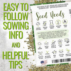 Seed Needs Italian Parsley & Dill Seeds for Planting Fresh Kitchen Herbs - Non-GMO Heirloom & Untreated Perennial Herb Seed to Plant a Culinary Garden Indoors or Outdoors (2 Pack Duo)