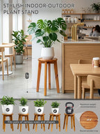 Demigo 15-Inch Tall Plant Stand for Indoor & Outdoor Use, Acacia Wooden Decorative Plant Shelf with Spill-Proof Tray, Flower Holder for Heavy Pots, Gardening Display - Natural Brown