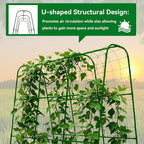 Cucumber Trellis - 62.4"*50" Cucumber Trellis for Raised Bed with Plastic-Coated Steel Pipe, U-Shape Garden Trellis for Climbing Plants, Garden Trellis for Cucumbers, Beans(Green)